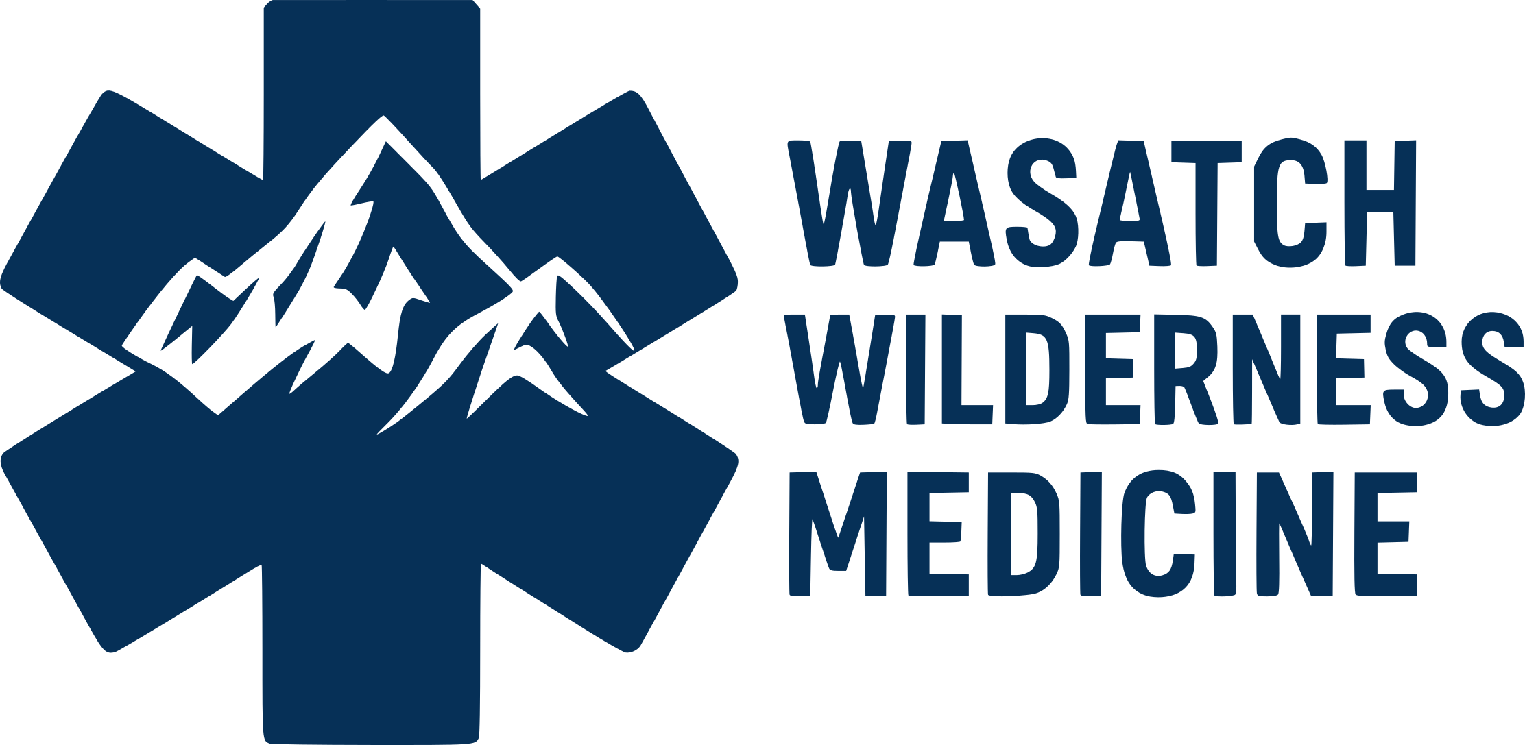 Wasatch Wilderness Medicine logo